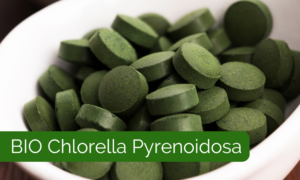 BIO Chlorella Pyrenoidosa
